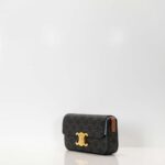 Celine Túi Nâu Size 20